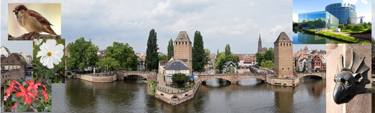 Strasbourg-Ecologie